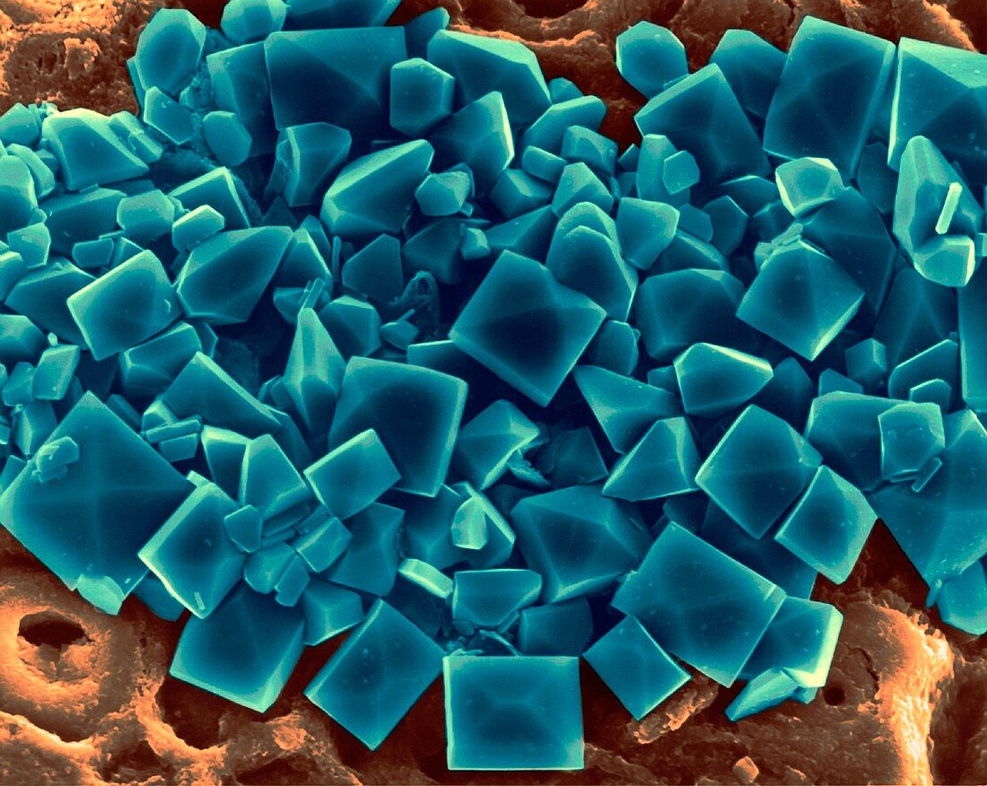 Sea salt crystals, SEM