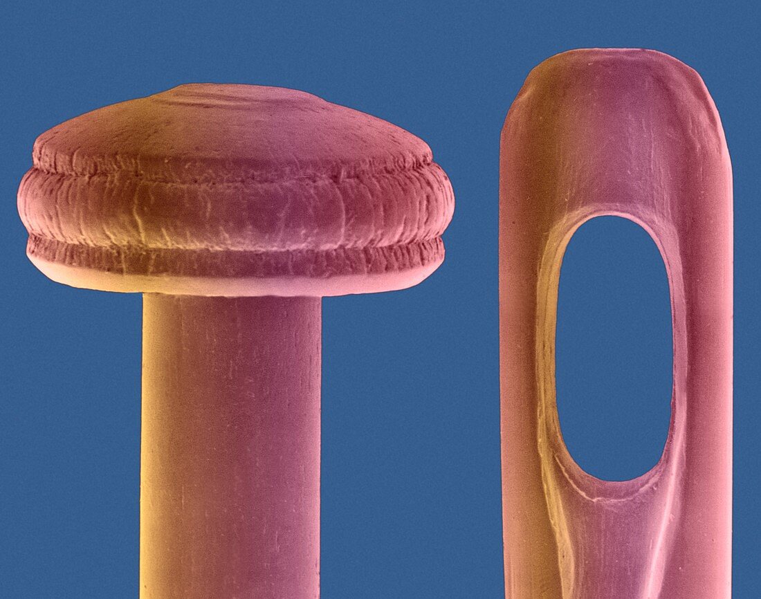 Pin and needle, SEM