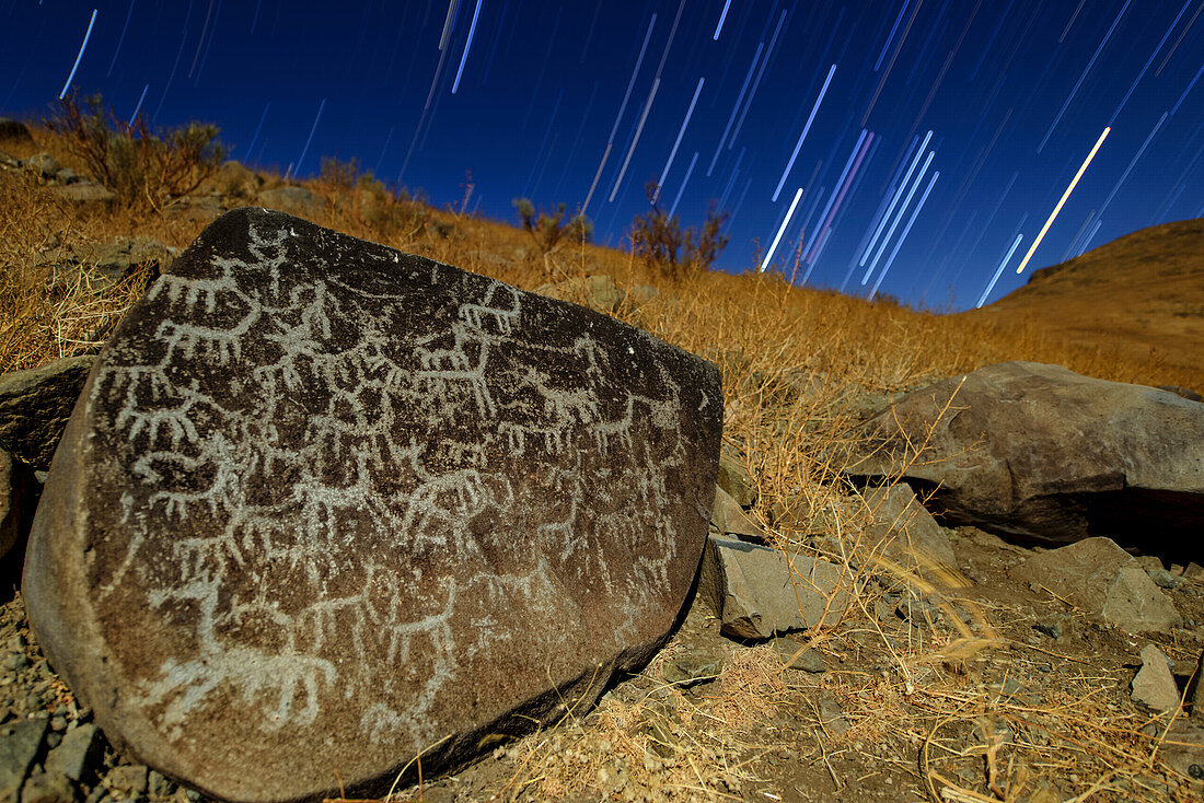 Atacama rock art and star trails, time-exposure image