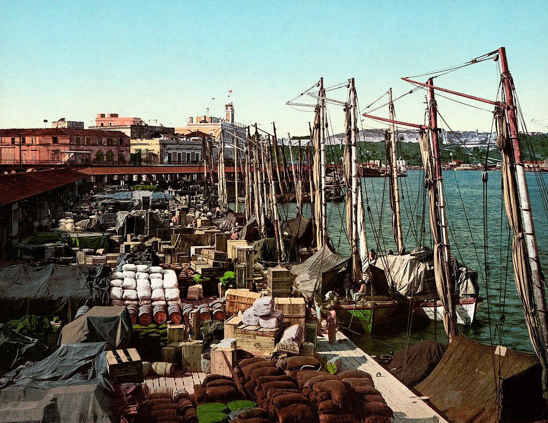 Muelle San Francisco, Havana, Cuba, circa 1904