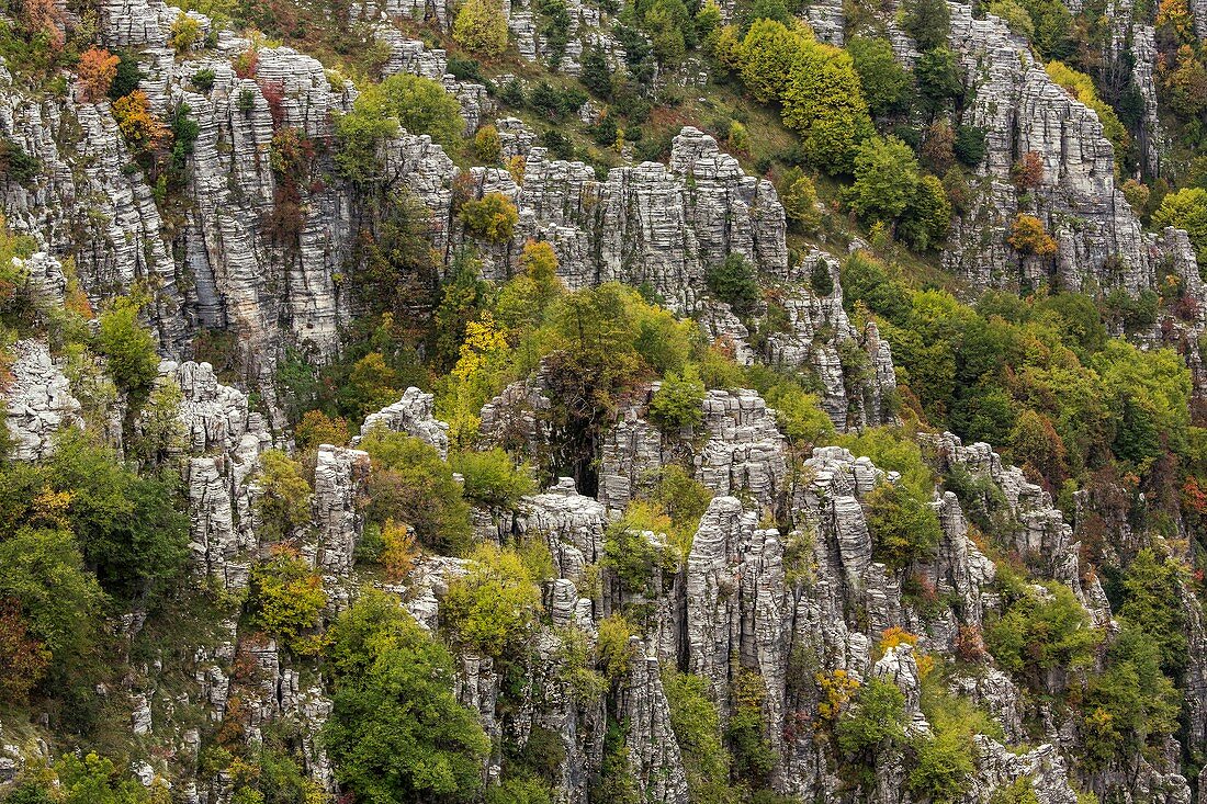 Eroded limestone pinnacles