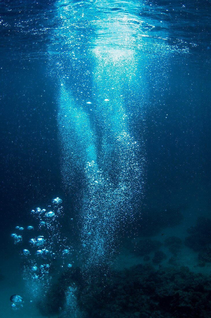Diver's bubbles