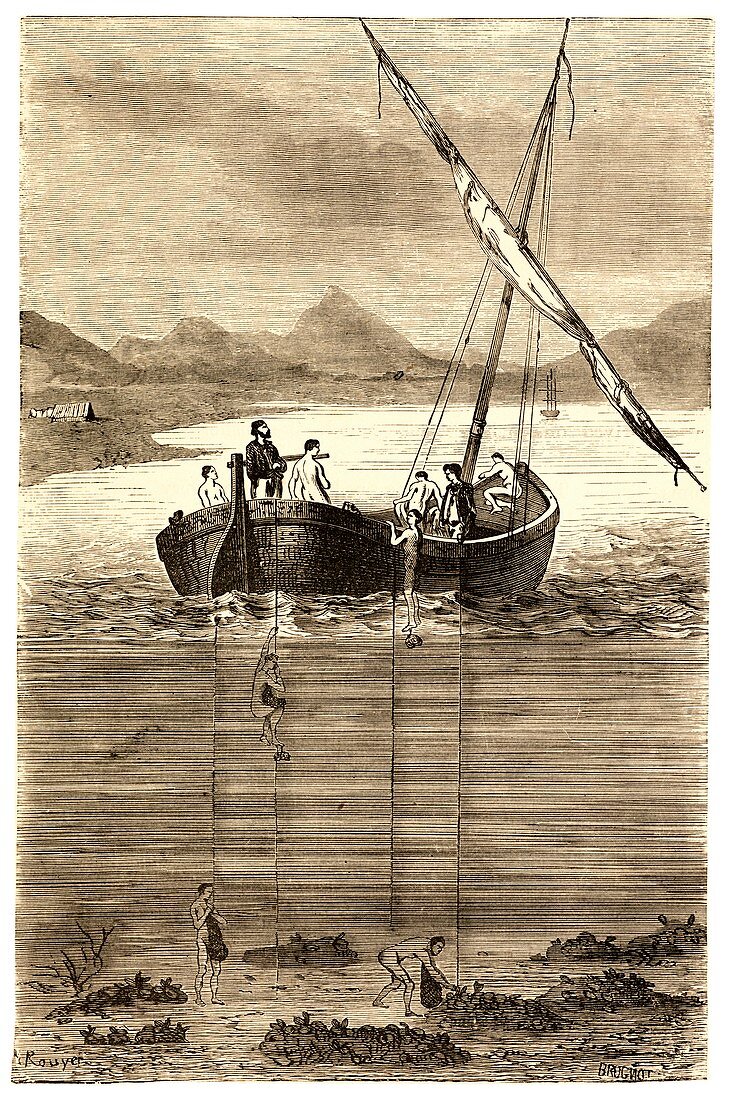 Pearl diving, 19th century illustration