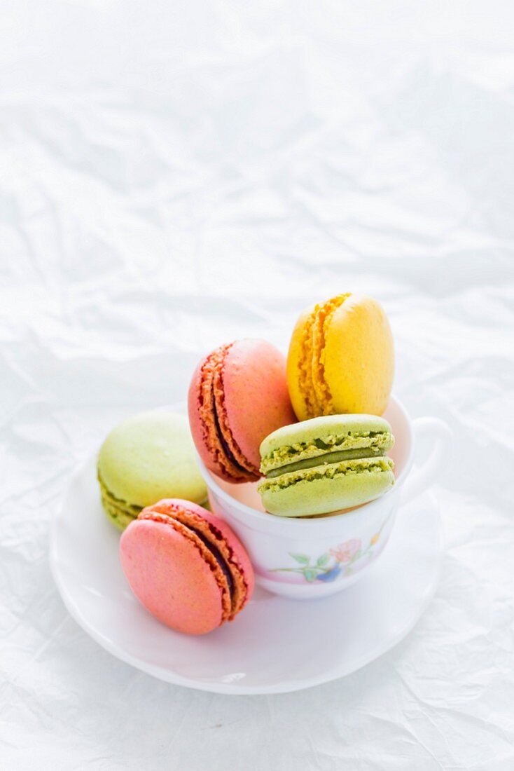Assorted Colorful Macarons in a Tea Cup