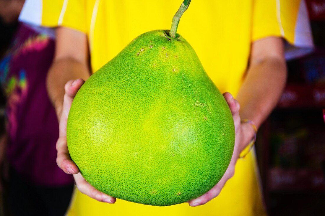 Hands holding a pomelo