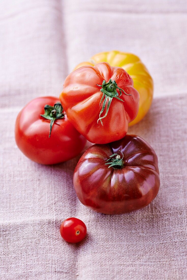 Fünf verschiedene Tomaten auf Leinentuch