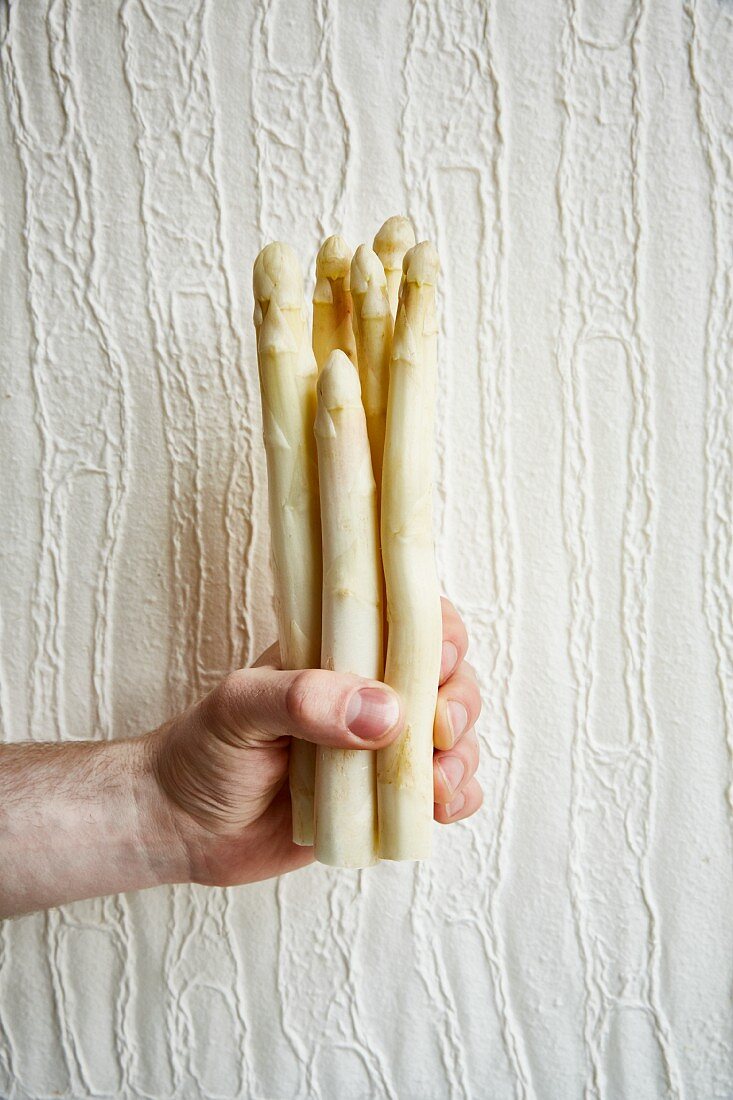A hand holding white asparagus spears