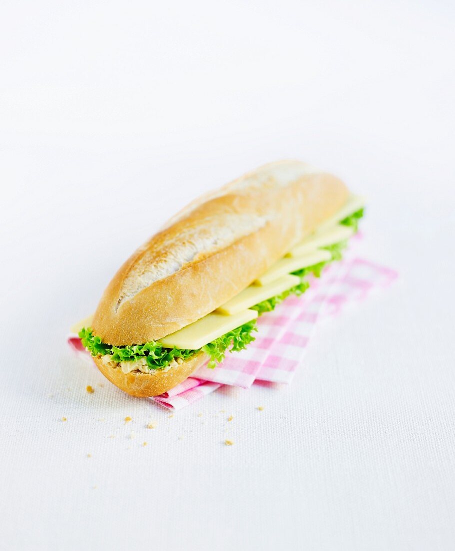 Cheese sandwich with lettuce