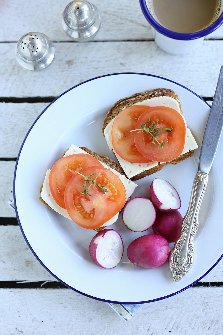 Belegte Brote mit Käse, Tomaten und Radieschen