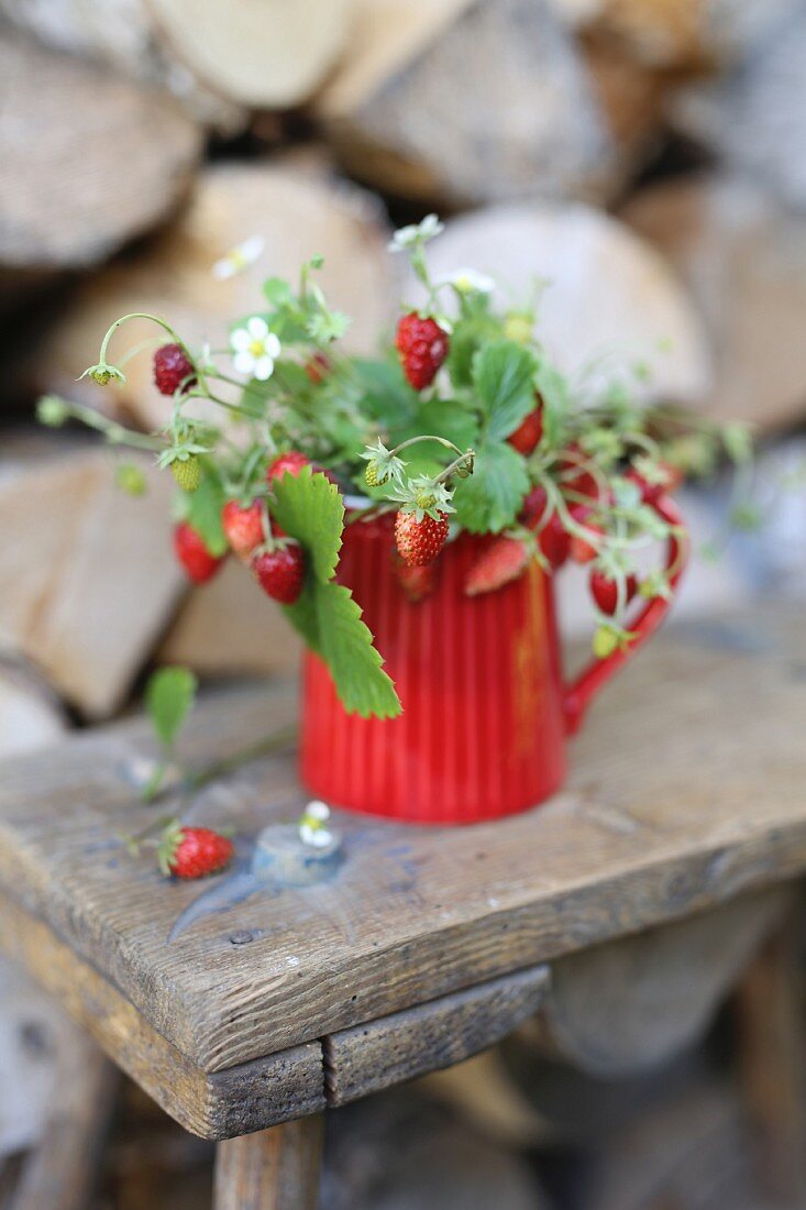 Twigs strawberries in a red jug on a wood stool