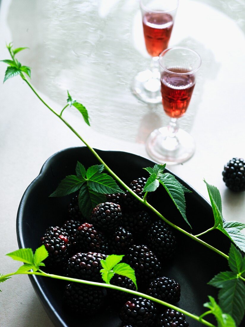 Blackberry liqueur and blackberry branches