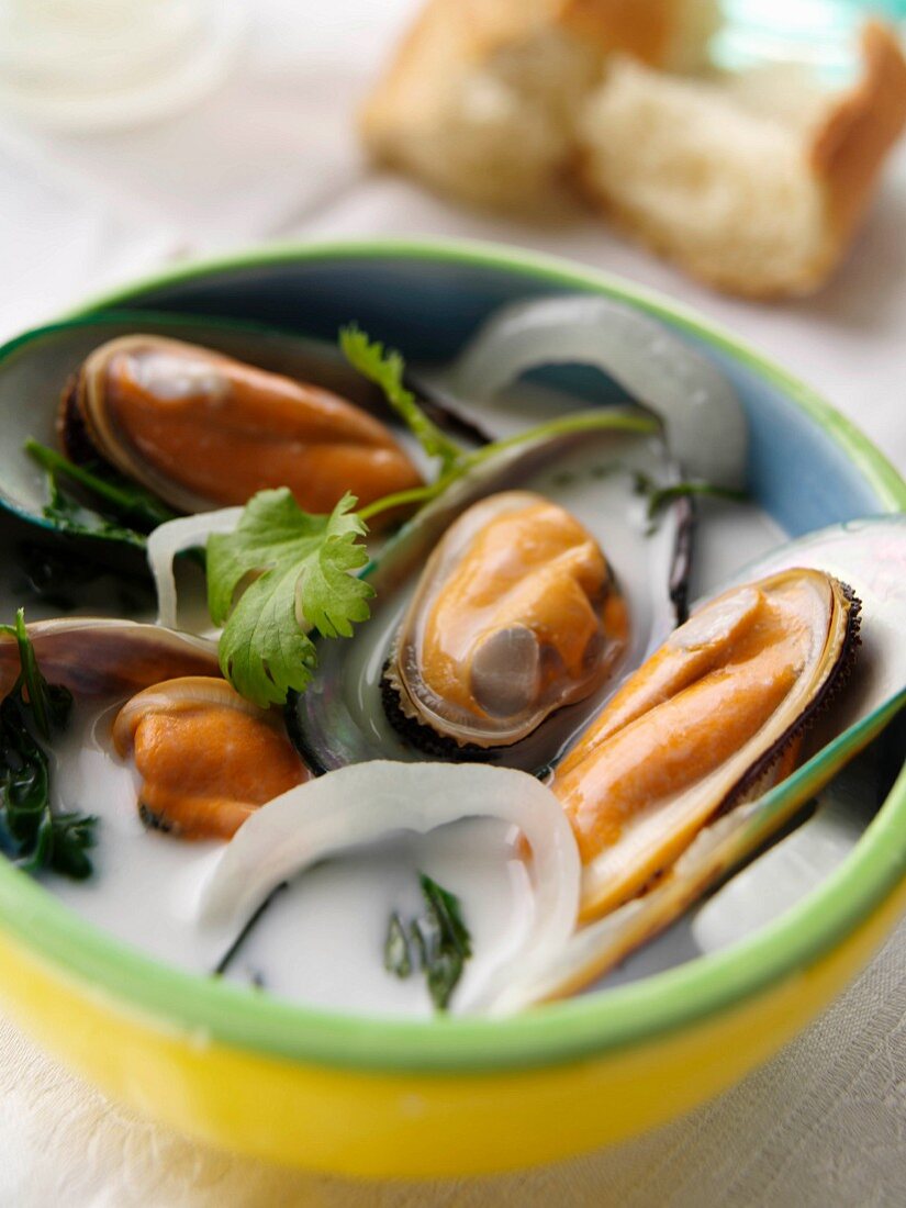 Coconut mussel stew