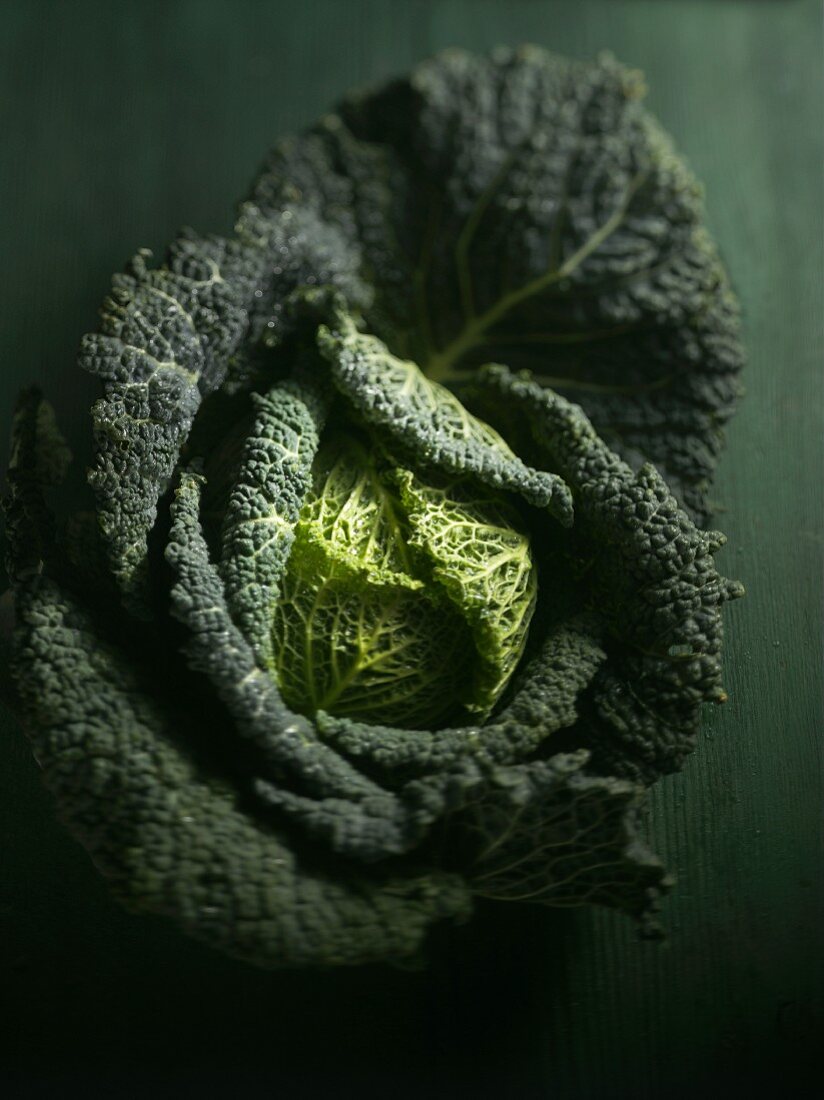 Fresh savoy cabbage