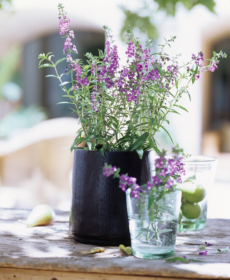 Vase of purple flowers