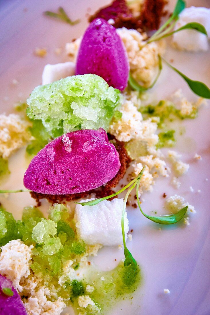 Various flavours of ice cream garnished with herbs