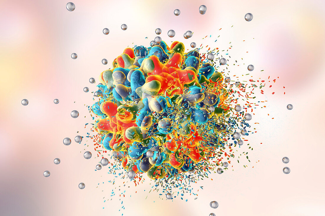 Destruction of hepatitis B virus, illustration