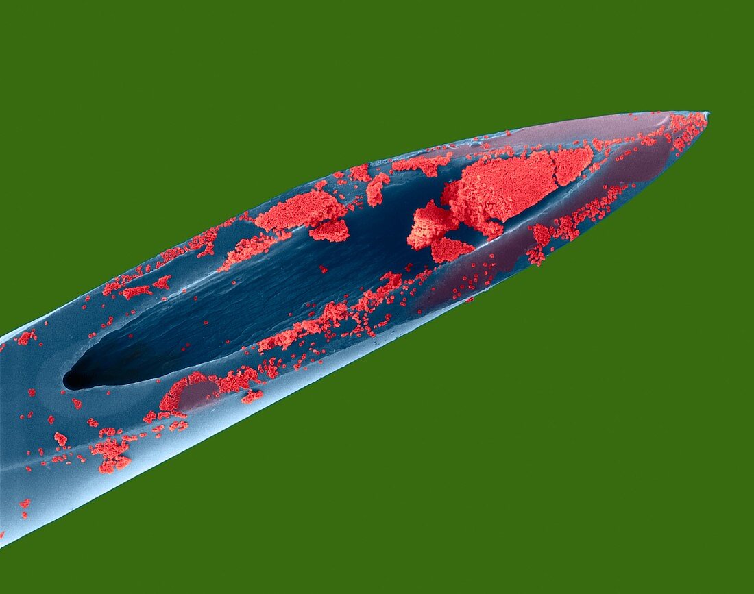 Hypodermic needle with blood, SEM