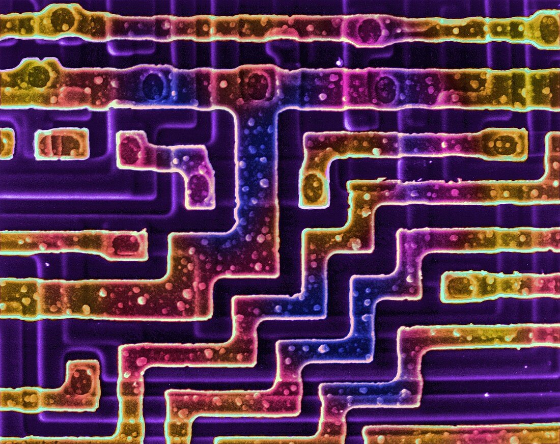 Surface of a RAM chip, SEM