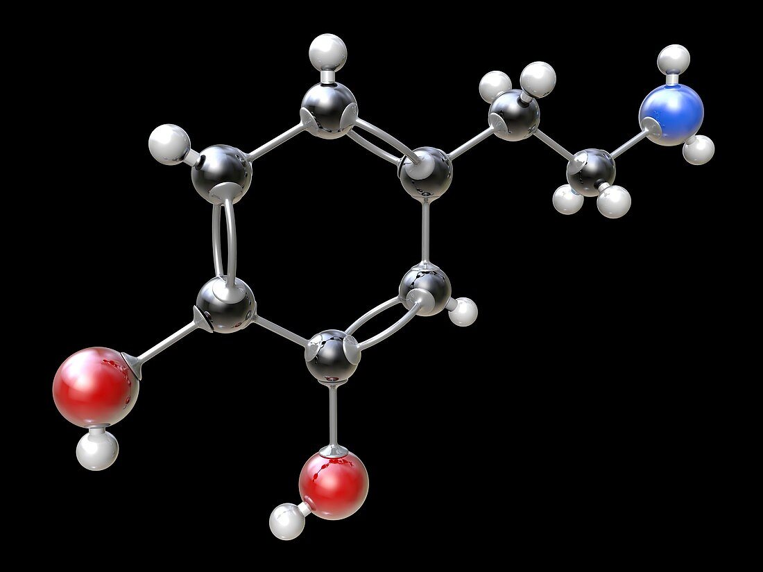 Dopamine organic compound molecule