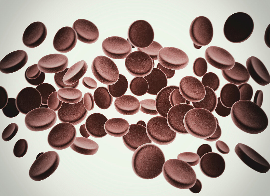 Red blood cells