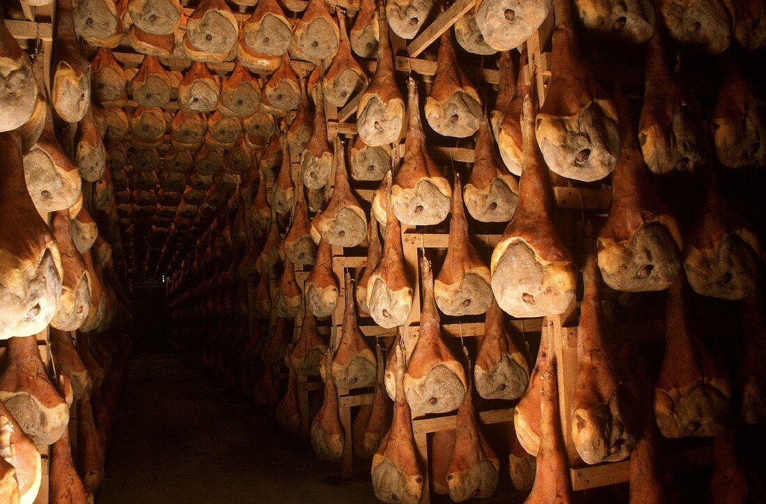 Several Hams Hanging to Dry