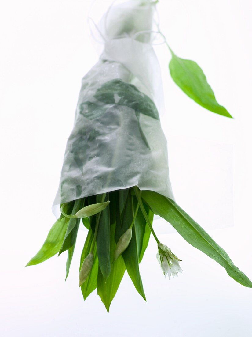 A bouquet of wild garlic wrapped in paper