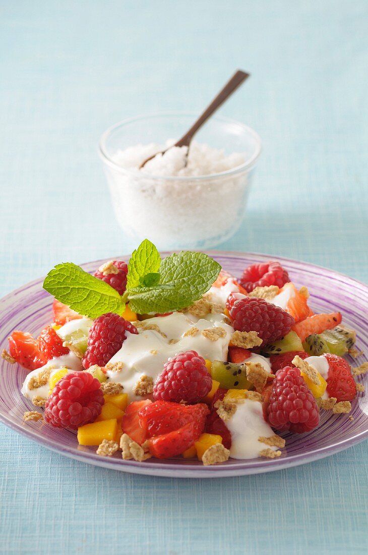Fresh fruit salad with oats, quark and mint