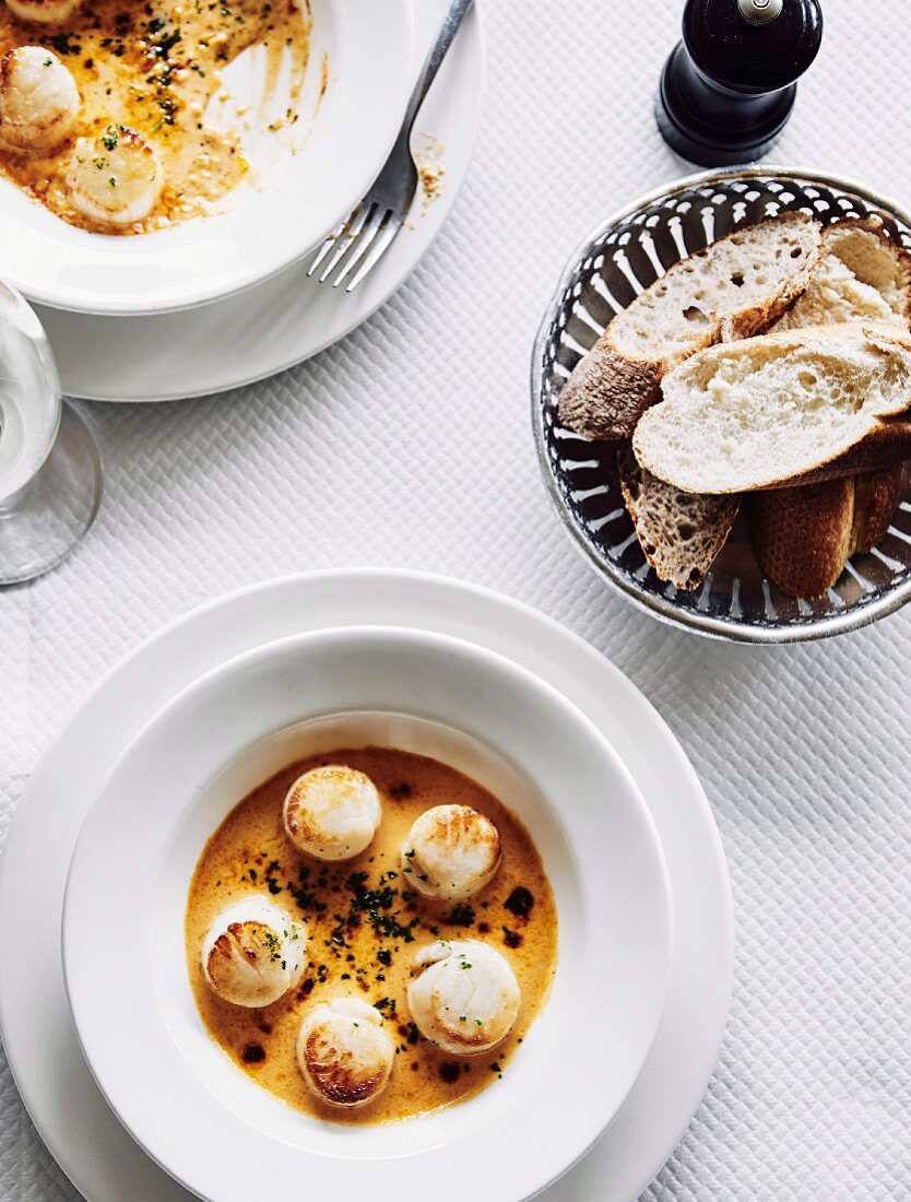 Scallops in sauce with white bread (France)