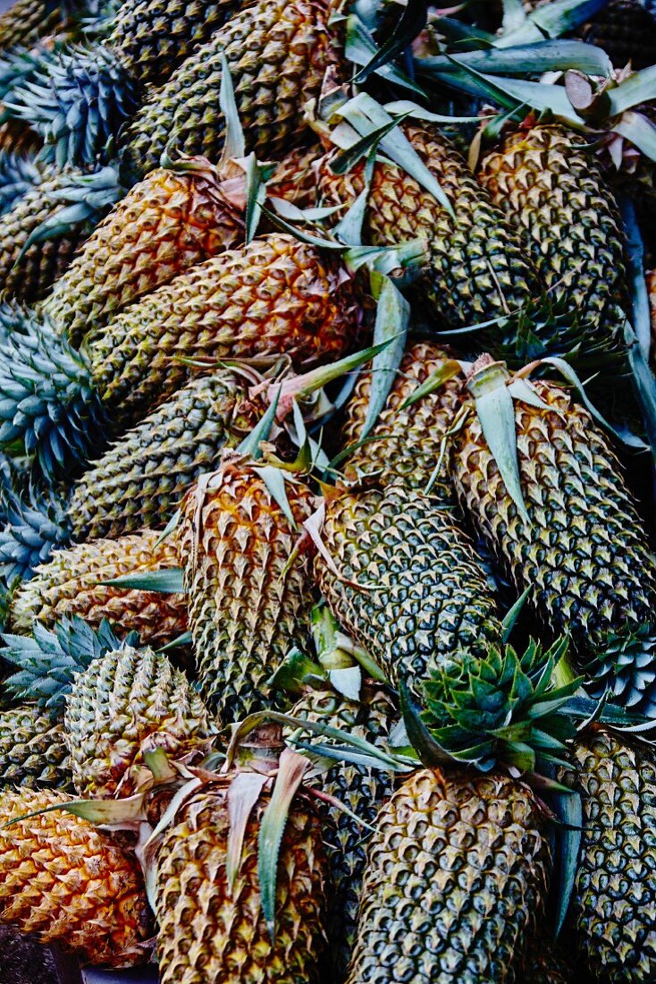 Ananas auf dem Markt (Sri Lanka)