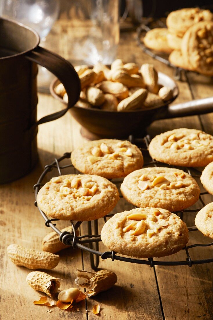 Selbstgebackene Erdnussbutterplätzchen auf Abkühlgitter