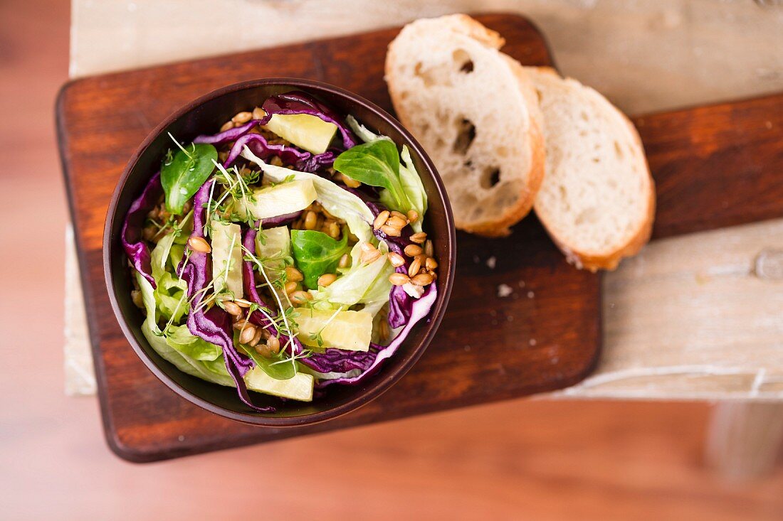 Veganer Salat (Einkorn, Rotkohl, Eisbergsalat, Feldsalat, Gurkensticks)