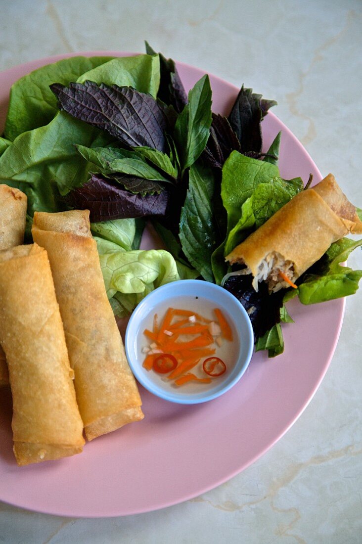 Fried spring rolls (Vietnam)