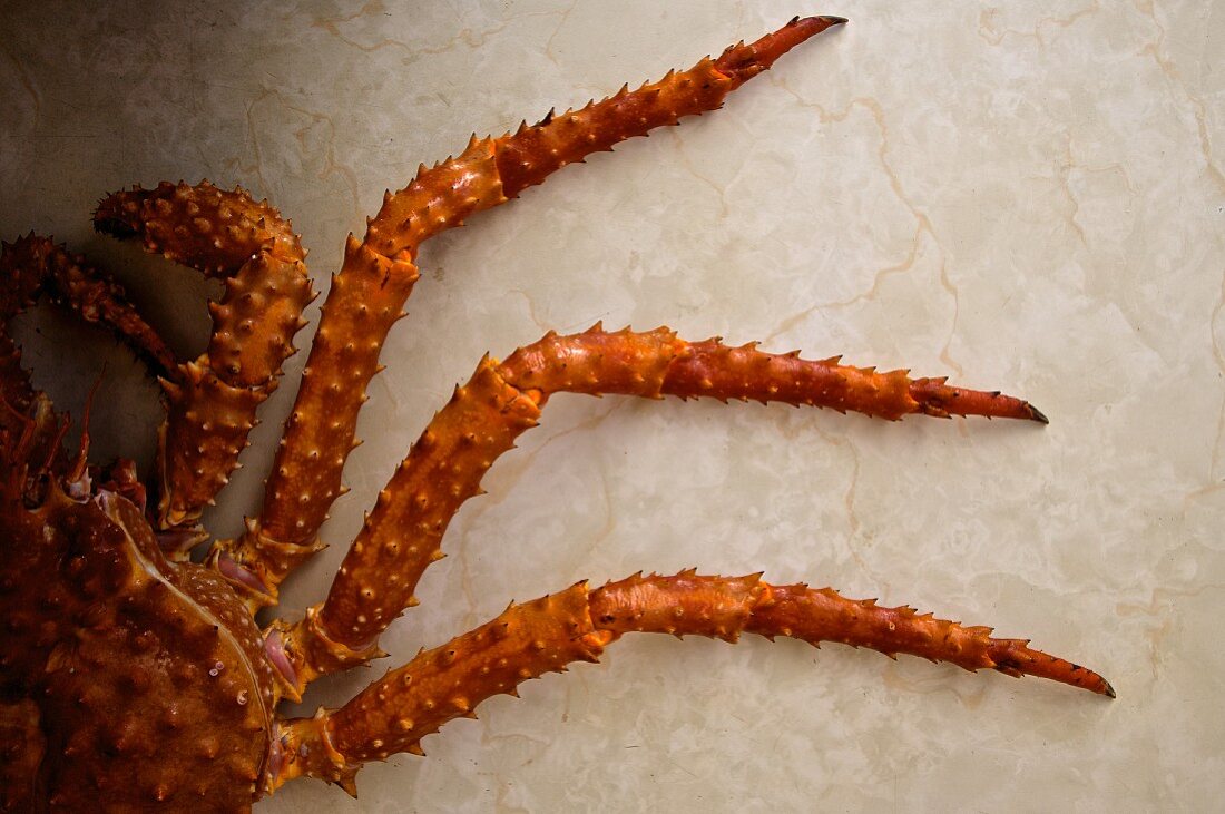 King Crab (close up)