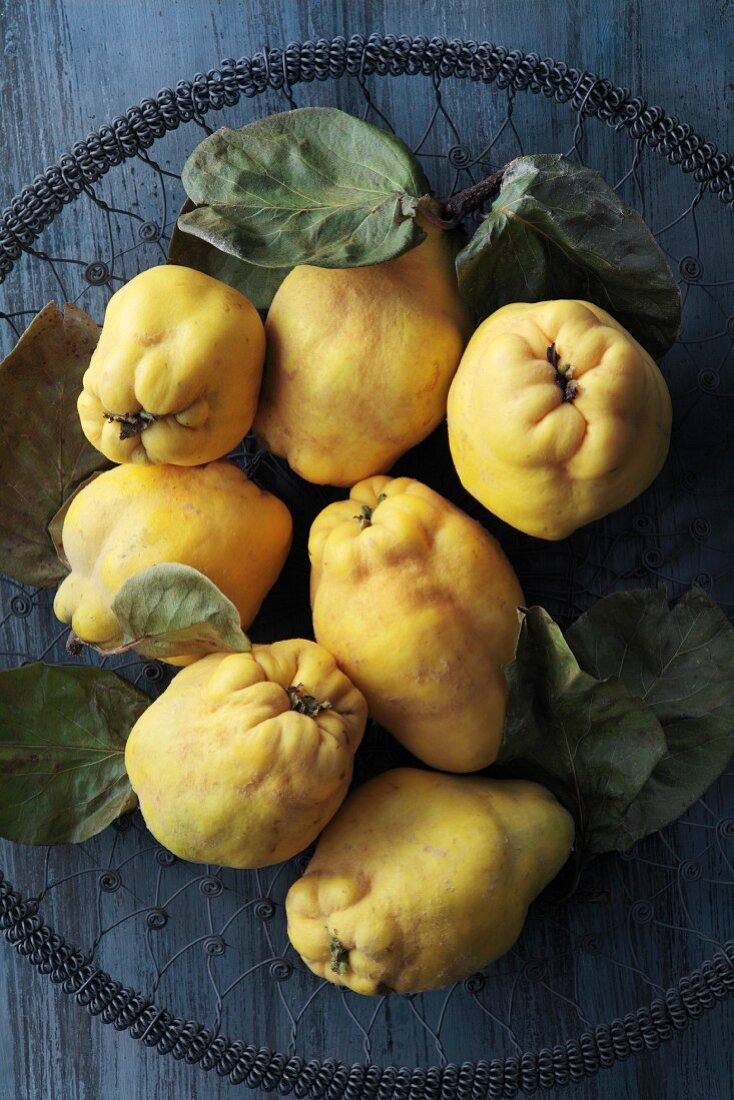 Quinces in a wire basket