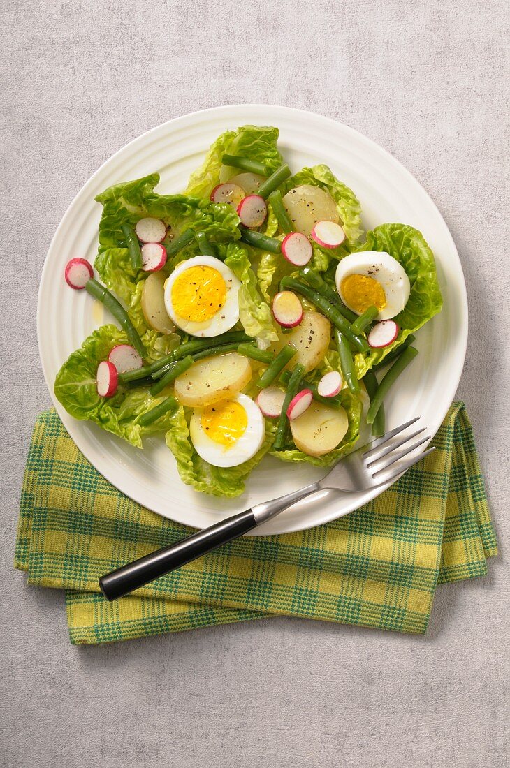 Blattsalat mit Ei, Kartoffeln, grünen Bohnen und Radieschen