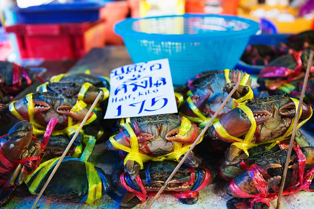 Zusammengebundene Taschenkrebse mit Preisschild auf einem Fischmarkt, Thailand