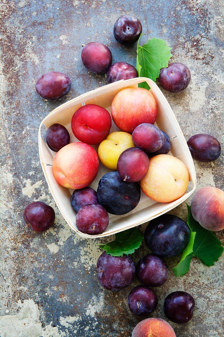 A variety of different plums, some in a wooden punnet on a distressed background