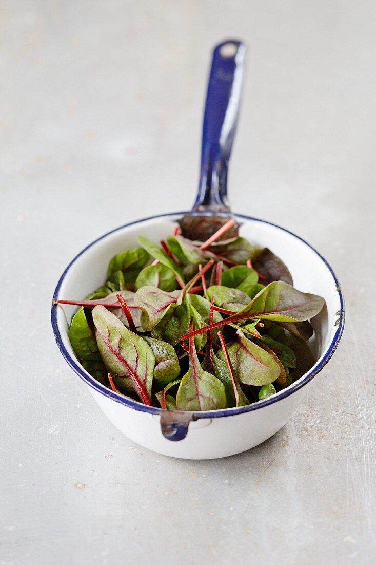 Young chard in an enamel pan