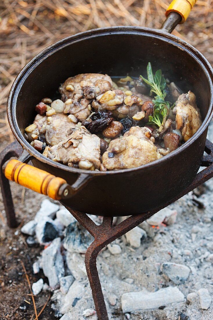 A rustic pot of meat cooking over a camp fire