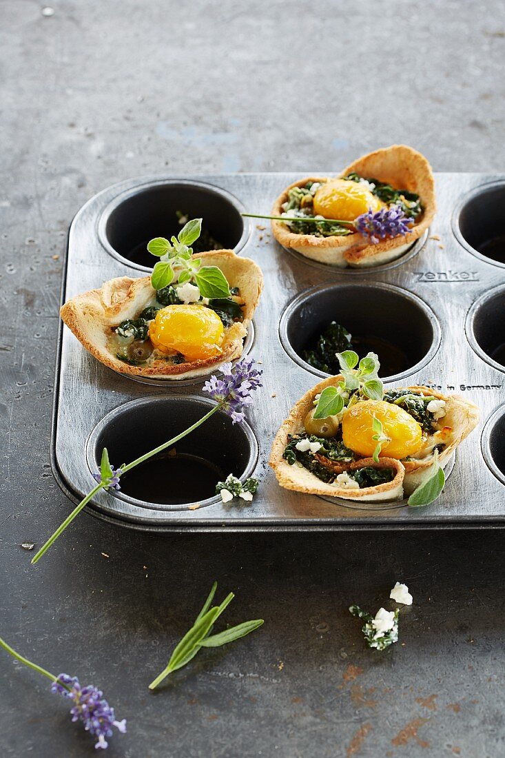 Muffin-Nester mit Spinat und Ei