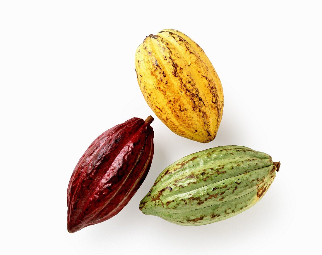 Gelbe, rote und grüne Kakaofrüchte vor weißem Hintergrund