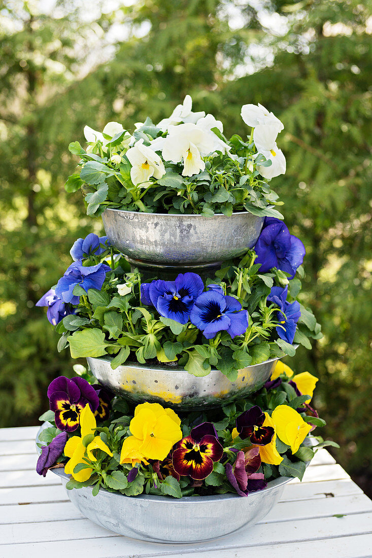 Flower stand made of metal bowls and planted with pansies