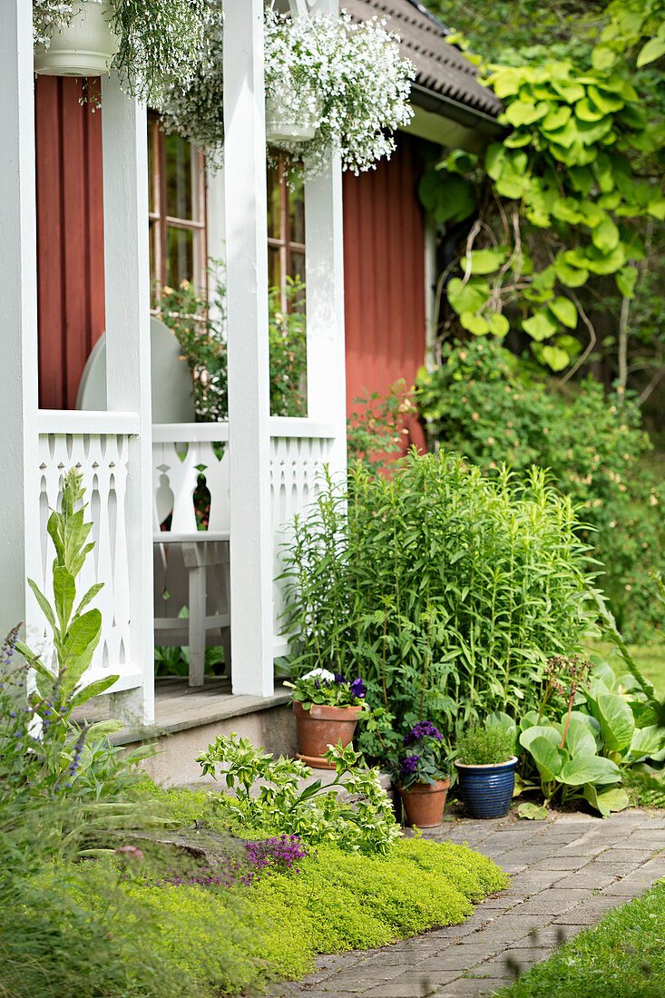 Kleiner Beet mit Bodendecker und Topfpflanzen vor dem Windfang einen Schwedenhauses