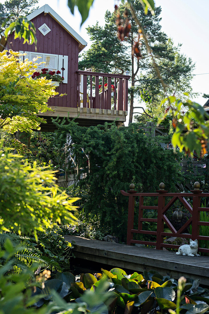 Cat on wooden bridge below Scandinavia summerhouse