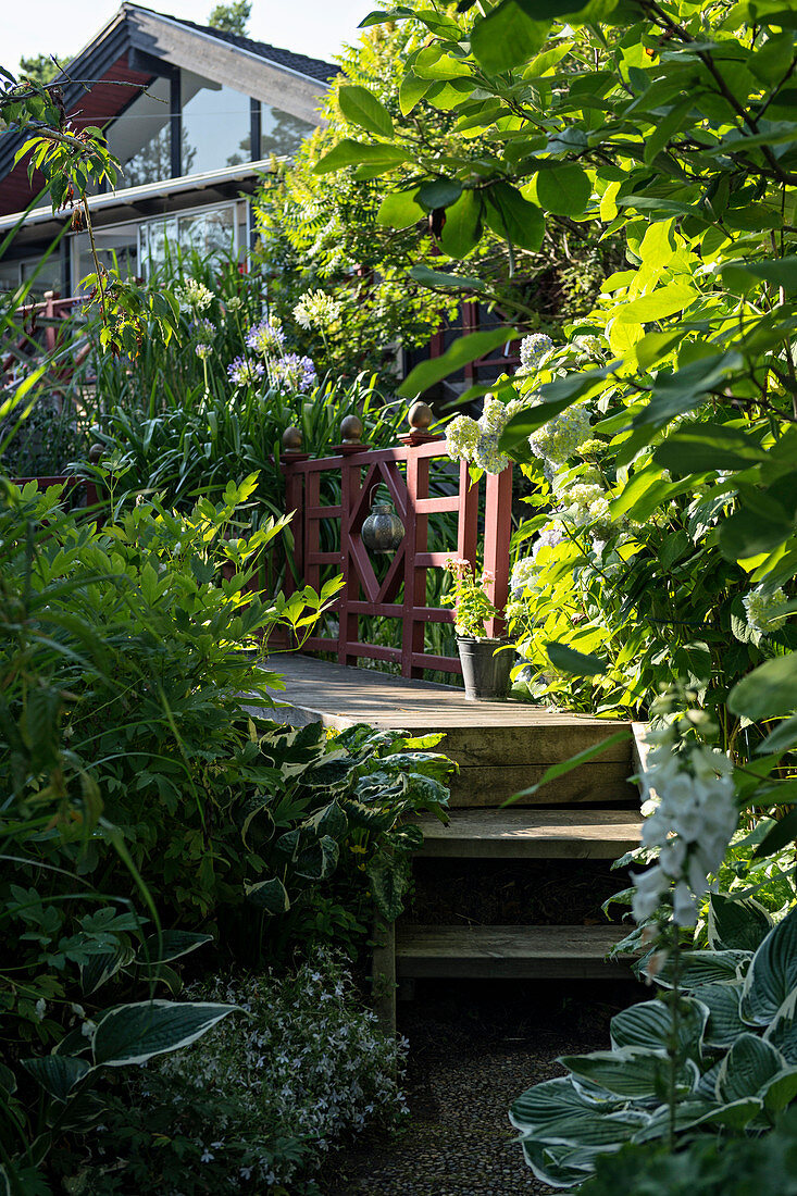 Wooden steps connecting garden and house