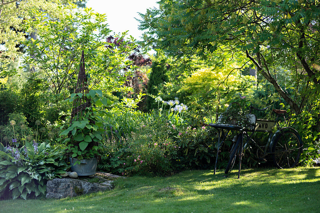 Lawn, flowerbeds and bicycle in garden