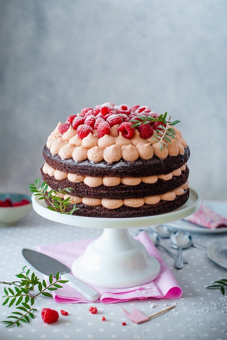 Schokoladenkuchen mit Himbeer-Frischkäse-Creme und frischen Himbeeren auf Tortenständer