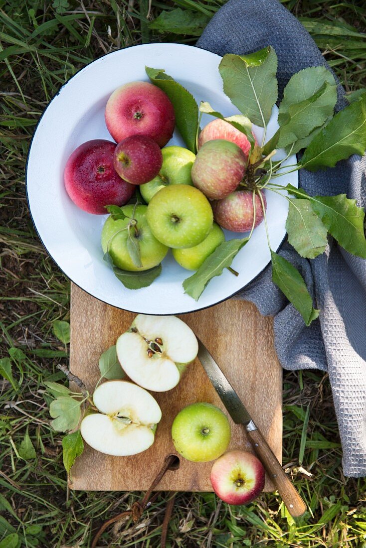 Freshly harvested apples with leaves in a bowl and on a chopping board