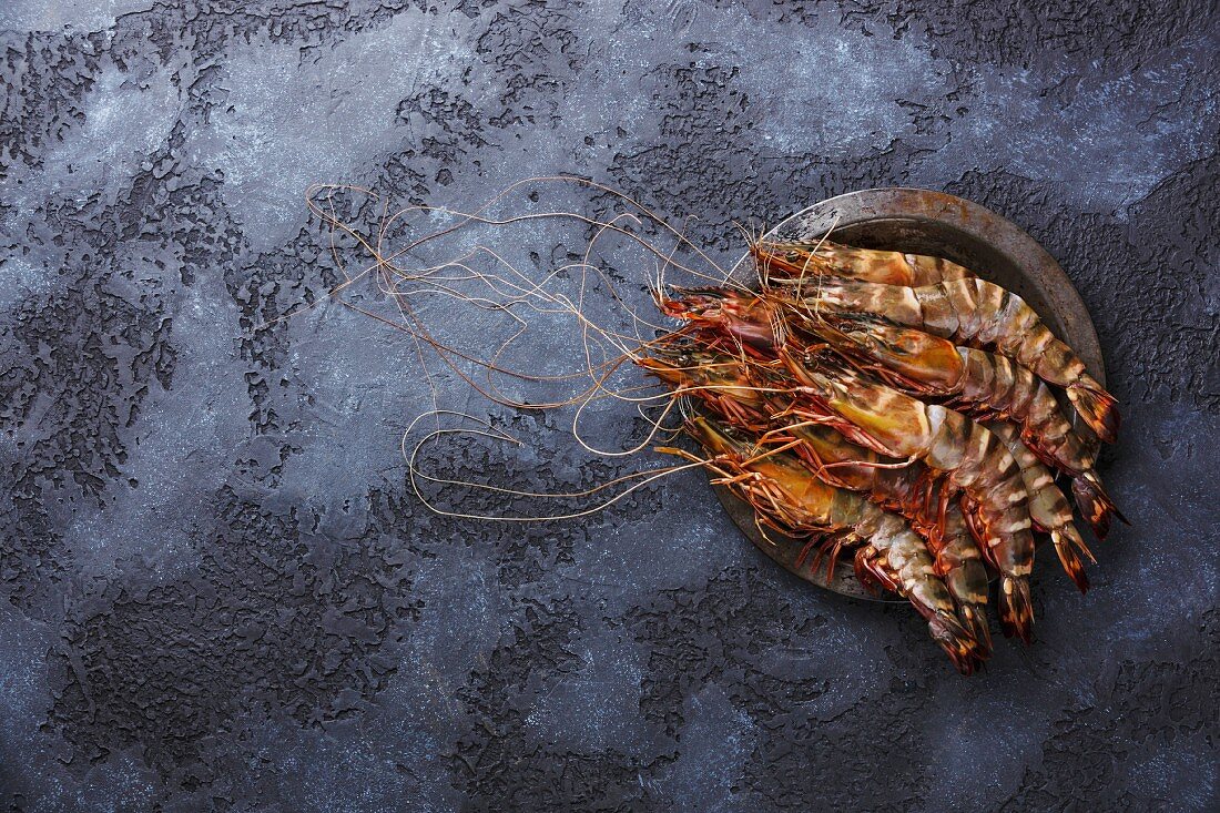 Raw fresh Tiger Prawn Shrimp in metal plate on black background