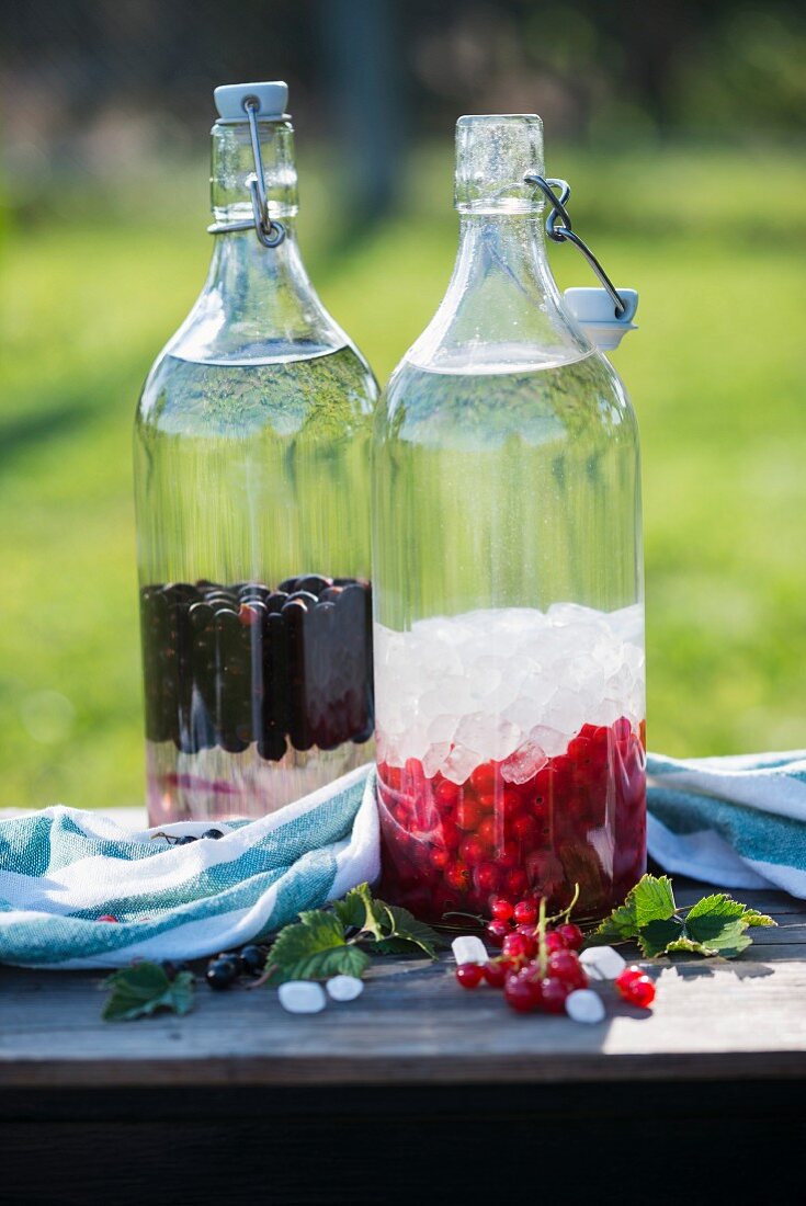Ingredients for black and red currant liqueur with rock candy